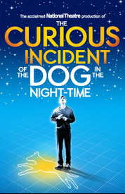 The Curious Incident of the Dog in the Night-Time